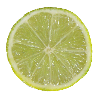 Fresh Lime Juice Ingredient